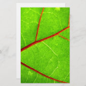 St. Thomas 1 Briefpapier (Voorkant / Achterkant)