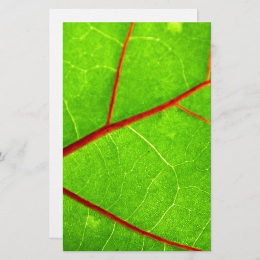 St. Thomas 1 Briefpapier (Voorkant / Achterkant)