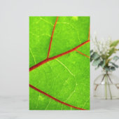 St. Thomas 1 Briefpapier (Staand voorkant)