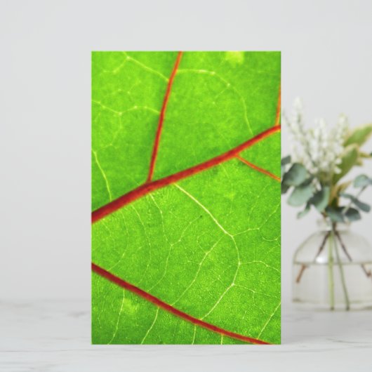 St. Thomas 1 Briefpapier (Staand voorkant)