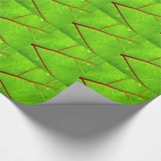 St. Thomas 1 Cadeaupapier (Hoek)