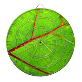 St. Thomas 1 Dartbord