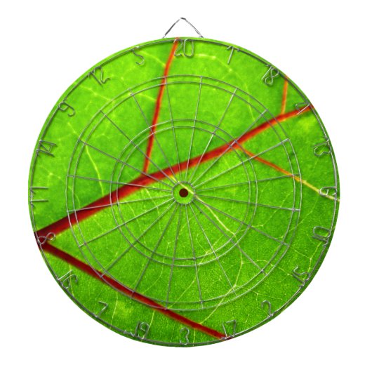 St. Thomas 1 Dartbord (Voorkant)