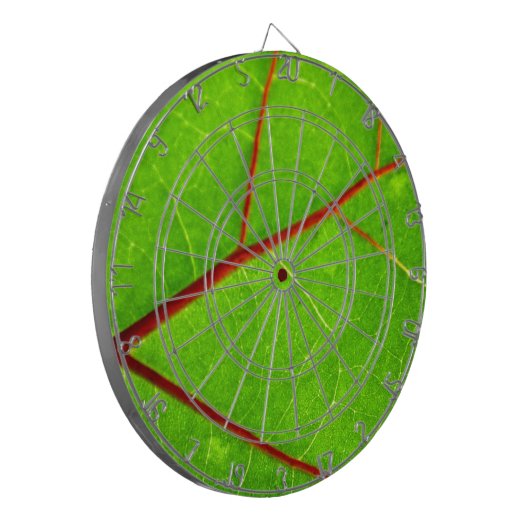 St. Thomas 1 Dartbord (Voorkant Links)