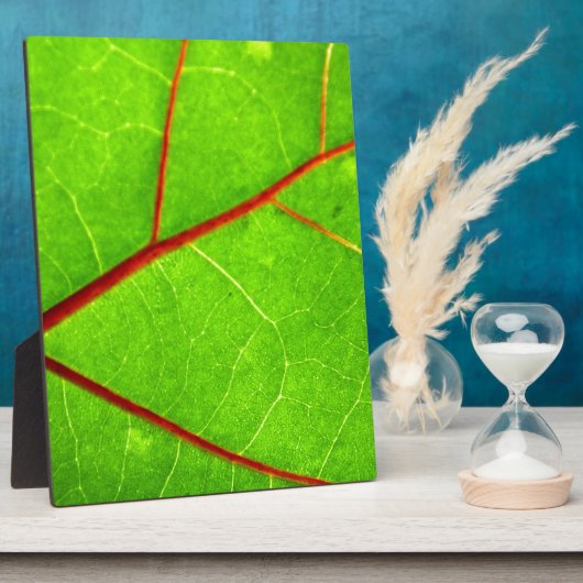 St. Thomas 1 Fotoplaat (Zijkant)