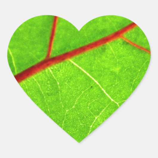 St. Thomas 1 Hart Sticker (Voorkant)