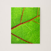 St. Thomas 1 Legpuzzel (Verticaal)