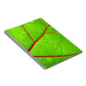 St. Thomas 1 Notitieboek (Rechterzijde)