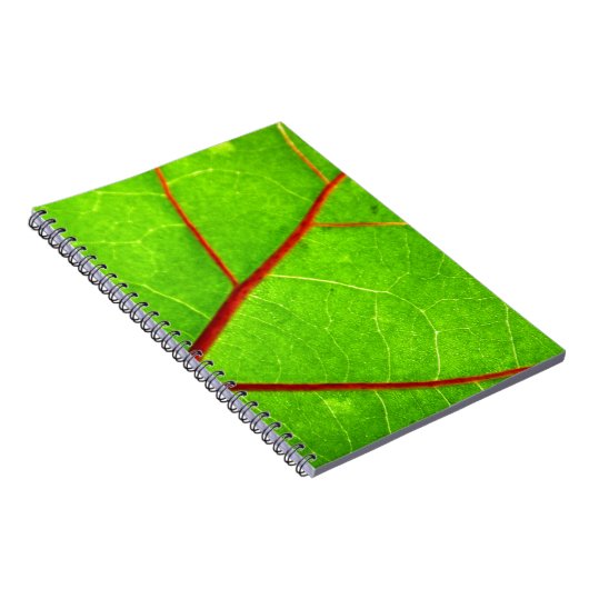 St. Thomas 1 Notitieboek (Rechterzijde)