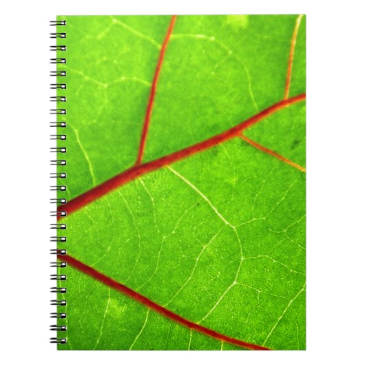 St. Thomas 1 Notitieboek (Voorkant)