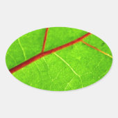 St. Thomas 1 Ovale Sticker (Voorkant)