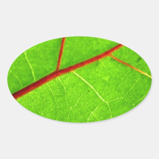 St. Thomas 1 Ovale Sticker (Voorkant)