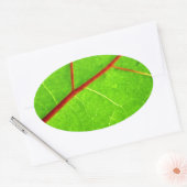 St. Thomas 1 Ovale Sticker (Envelop)