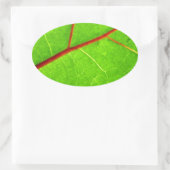 St. Thomas 1 Ovale Sticker (Tas)