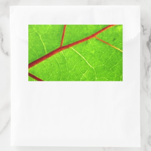 St. Thomas 1 Rechthoekige Sticker (Tas)