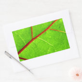 St. Thomas 1 Rechthoekige Sticker (Envelop)