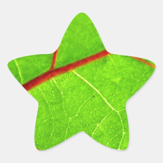 St. Thomas 1 Ster Sticker (Voorkant)