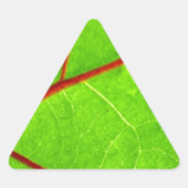 St. Thomas 1 Sticker (Voorkant)