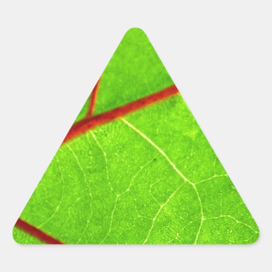 St. Thomas 1 Sticker (Voorkant)