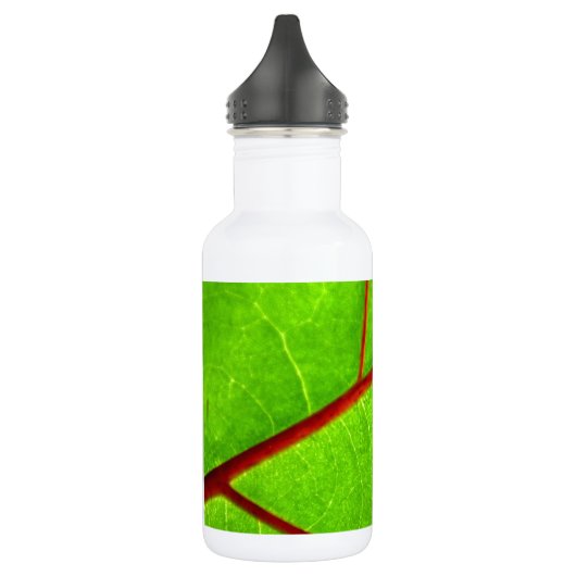 St. Thomas 1 Waterfles (Links)