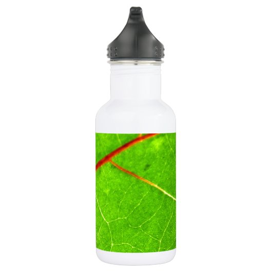 St. Thomas 1 Waterfles (Rechts)