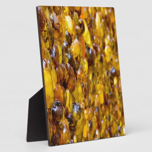 St. Thomas 2 Fotoplaat (Zijkant)