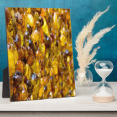 St. Thomas 2 Fotoplaat (Zijkant)