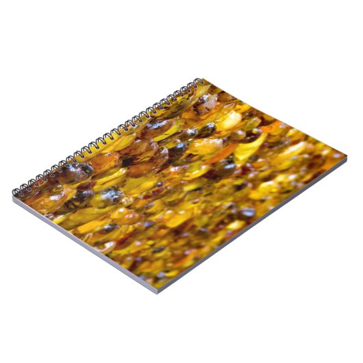 St. Thomas 2 Notitieboek (Linkerzijde)