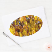 St. Thomas 2 Ovale Sticker (Envelop)