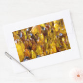 St. Thomas 2 Rechthoekige Sticker (Envelop)