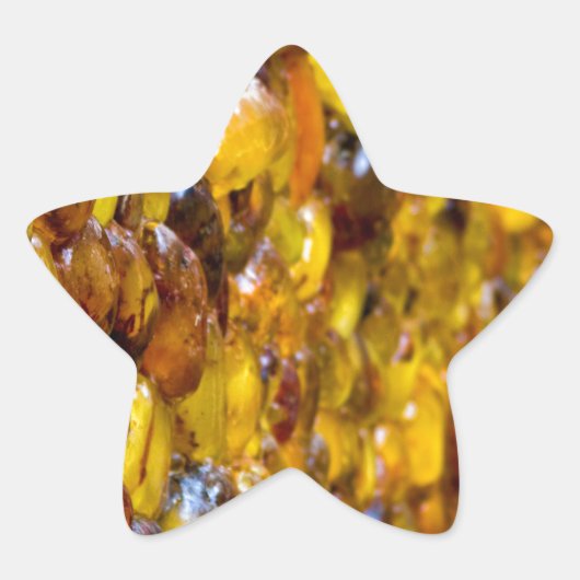 St. Thomas 2 Ster Sticker (Voorkant)