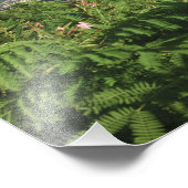 St. Thomas, Amerikaanse Maagdeneilanden. Charlotte Foto Afdruk (Hoek)