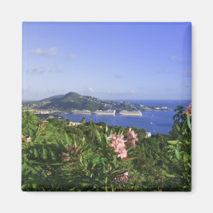 St. Thomas, Amerikaanse Maagdeneilanden. Charlotte Magneet