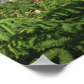 St. Thomas, Amerikaanse Maagdeneilanden. Charlotte Poster (Hoek)