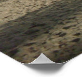 St. Thomas Beach Poster (Hoek)