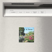 St. Thomas Magneet (Insitu (Vaatwasser))