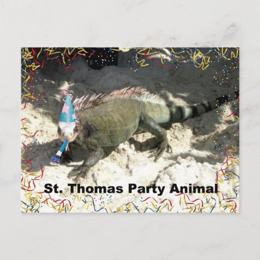St. Thomas Party Animal! Briefkaart (Voorkant)