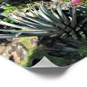 St. Thomas Poster (Hoek)