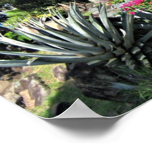 St. Thomas Poster (Hoek)