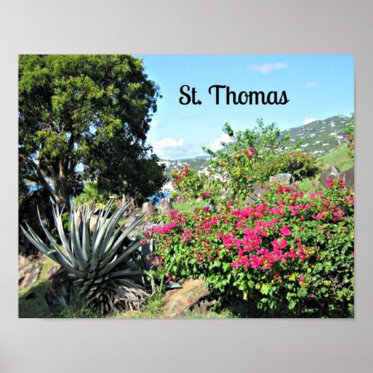 St. Thomas Poster (Voorkant)