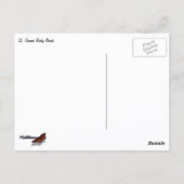 St. Thomas Rocky Beach Briefkaart (Achterkant)