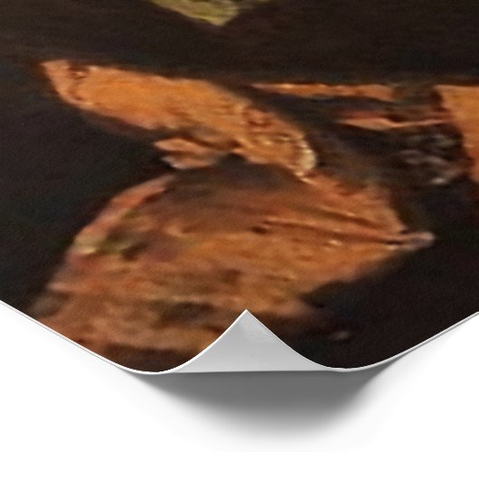 St. Veronicas Veil Afbeelding 03B Poster (Hoek)