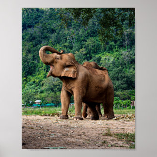 Sta op en word gehoord poster