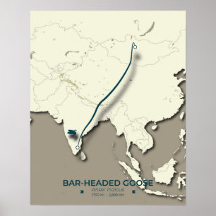 Staafkoppige ganzenmigratiekaart – minimalistisch poster