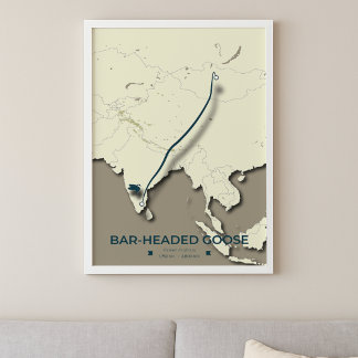 Staafkoppige ganzenmigratiekaart – minimalistisch poster