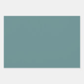 Staal Blauwgroen vaste kleur Inpakpapier Vel (Voorkant)