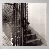 Staal in het gebouw poster (Voorkant)