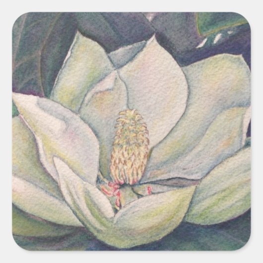 Staal Magnolia Bloem Vierkante Sticker (Voorkant)