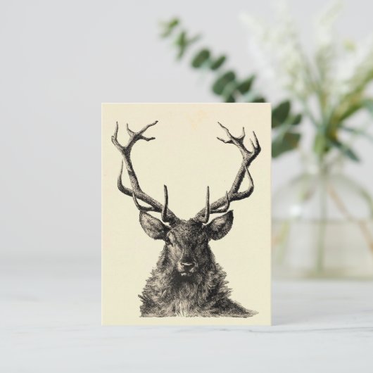 Staalafdrukken, meer afdrukken, , Scandinavisch Briefkaart (Staand voorkant)