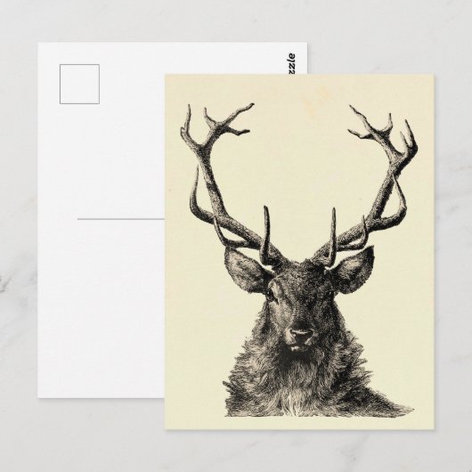 Staalafdrukken, meer afdrukken, , Scandinavisch Briefkaart (Voorkant / Achterkant)